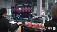 <b>一颗苹果的数智化升级之</b>